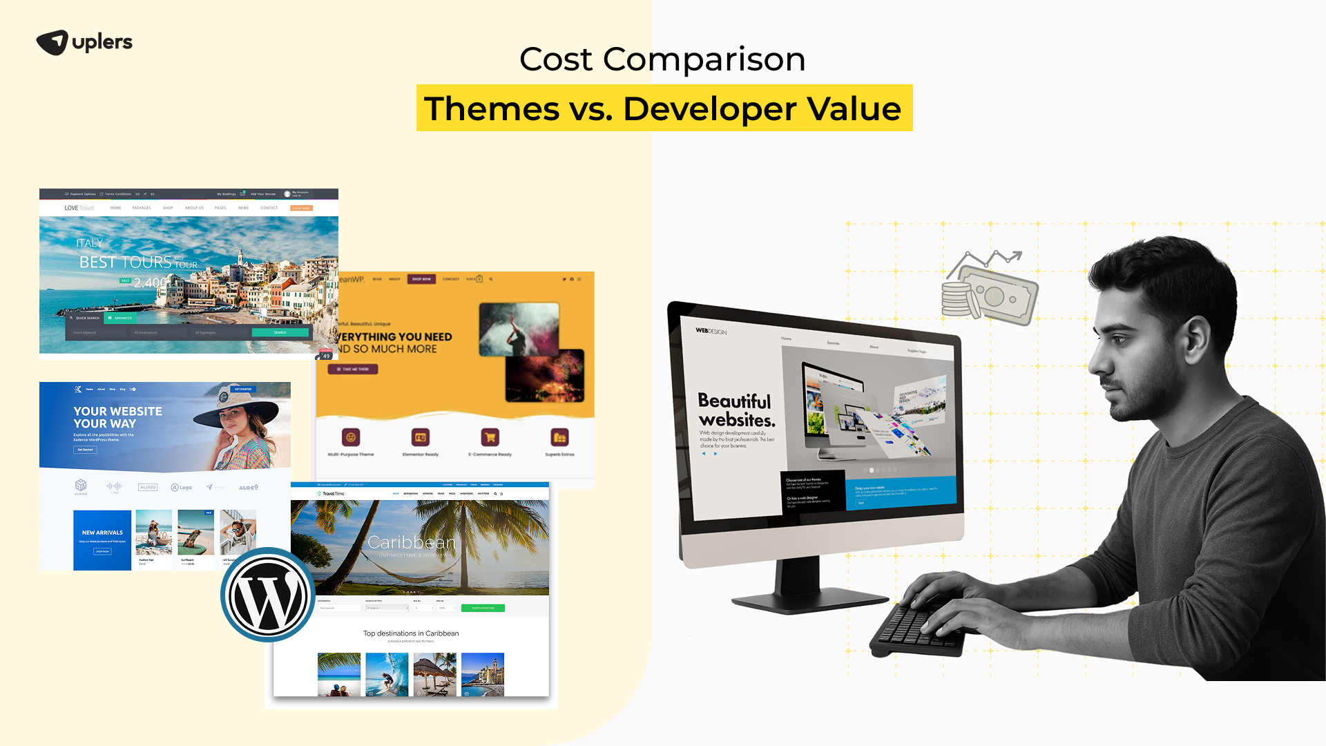 Cost Comparison: Themes vs. Developer Value