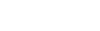 Local Digital Expert
