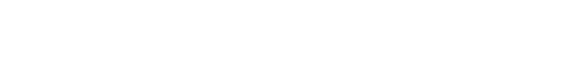 Local Digital Expert